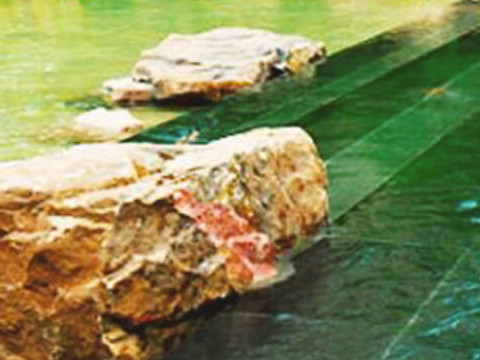 園林建筑設計要注意哪些方面？